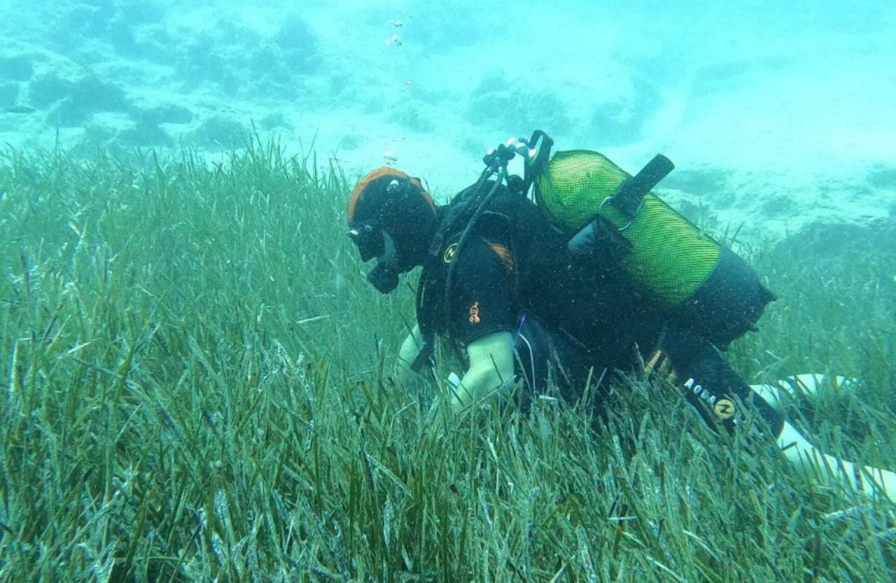 GarantiBlog_ARAGörsel_JPEG - GarantiBlog_AraGorsel_Mavi_Nefes_Mart_2026